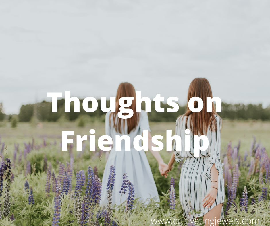 Thoughts on Friendship –